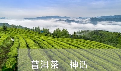 普洱茶 神话/2023042822462